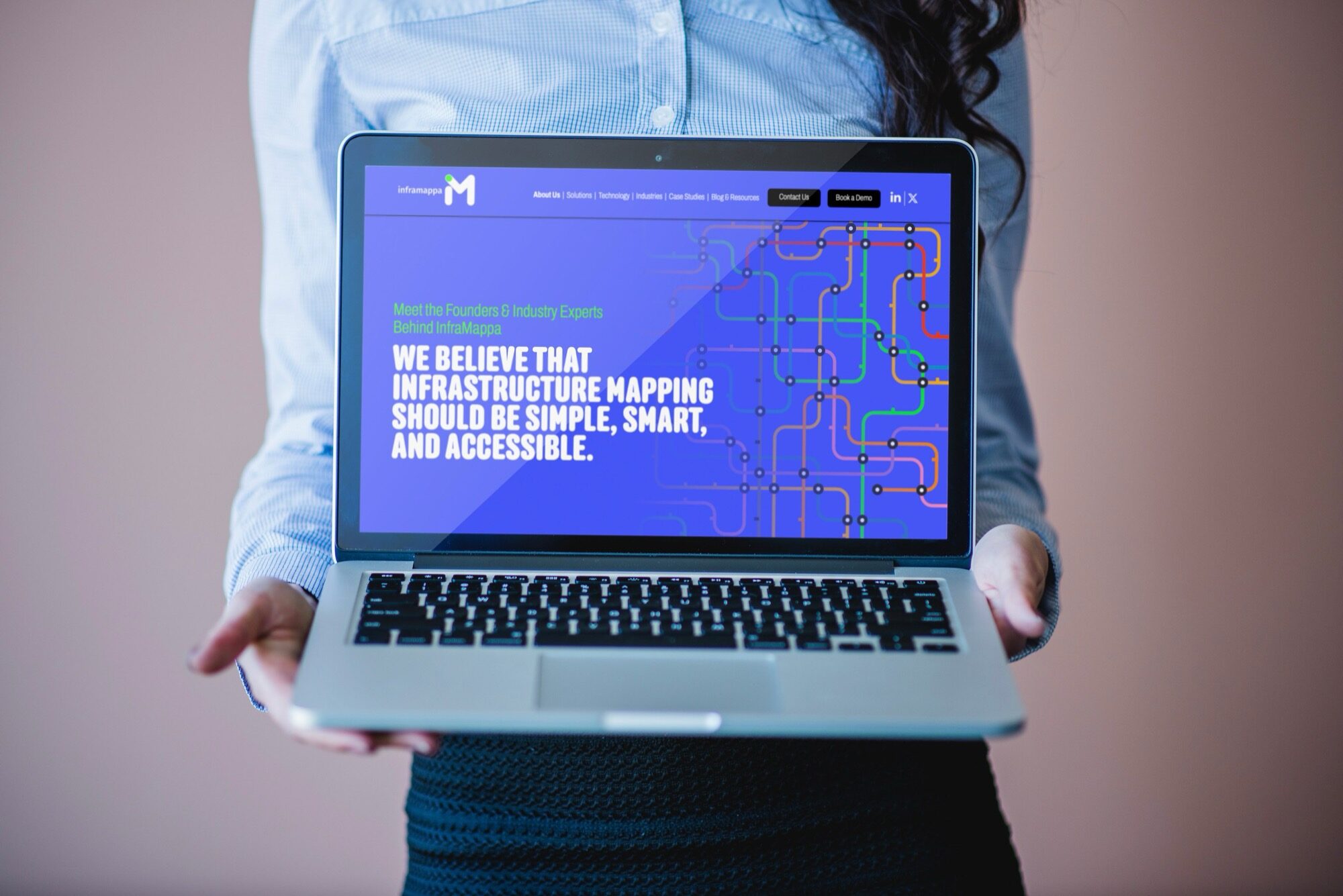 The InfraMappa platform