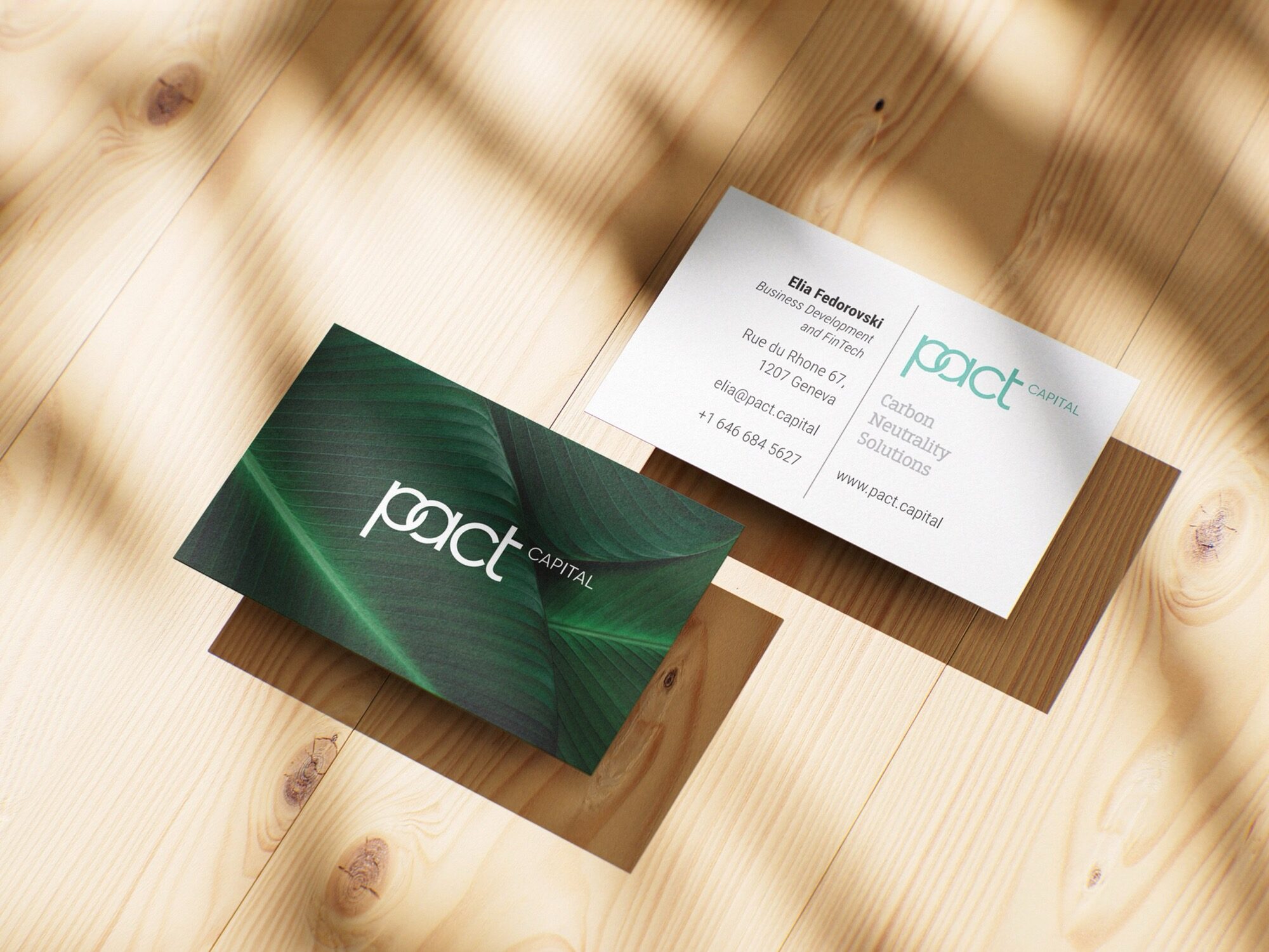 PACT Capital stationery: the leaf card and the credentials card